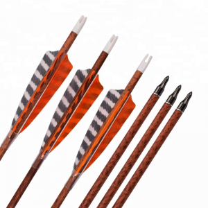 Elongngoài trời 120077 ID6.2mm SP400 Gỗ carbon đỏ Mũi tên với Bắn cung lông vũ