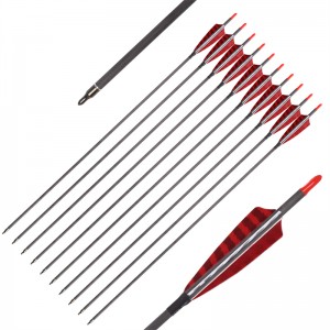 Elongngoài trời 112837 ID6.2mm SP500 sợi carbon mũi tên Thổ Nhĩ Kỳ Feather bắn cung bắn cung