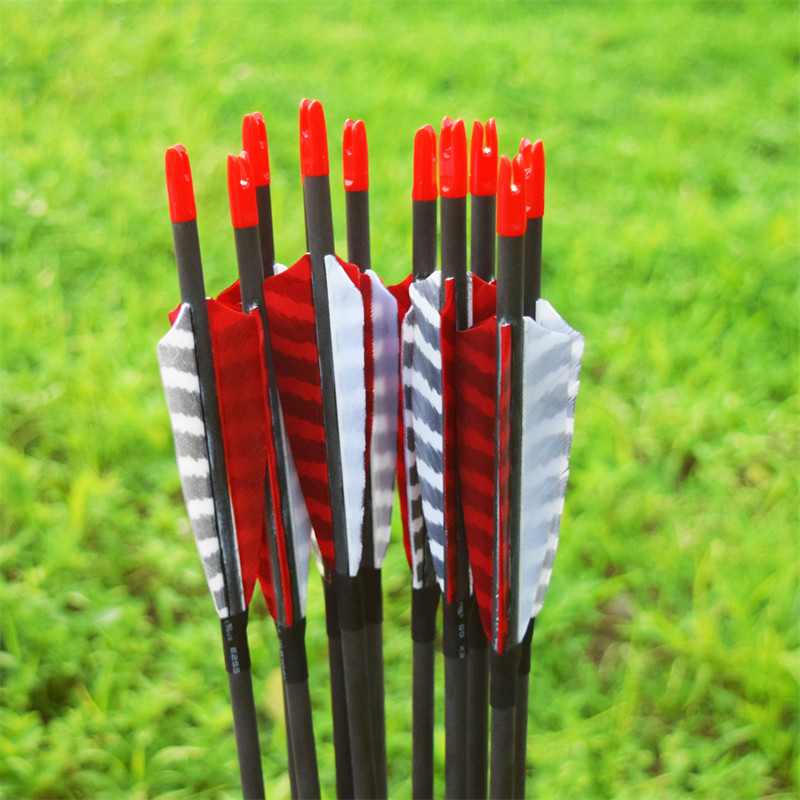 Bắn cung mũi tên carbon trong bánnóng