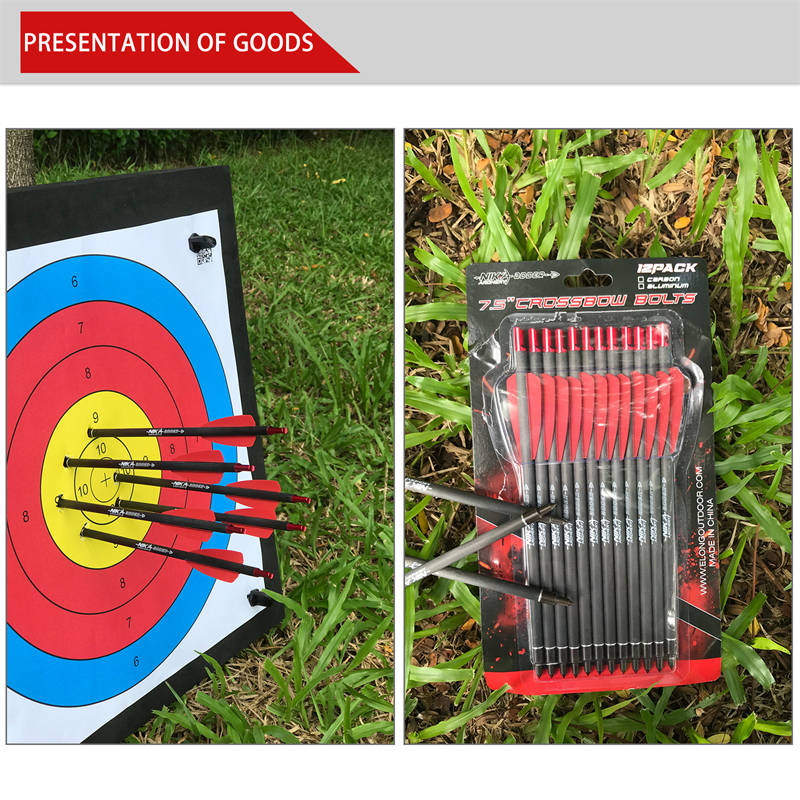 Broadhead vs FieldPoint Cobra R9 Bu lông mũi tênnỏ adder