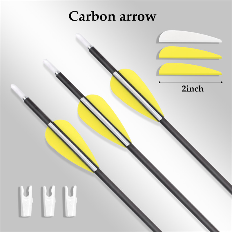 Mũi tên carbonnguyên chất 3,2mm