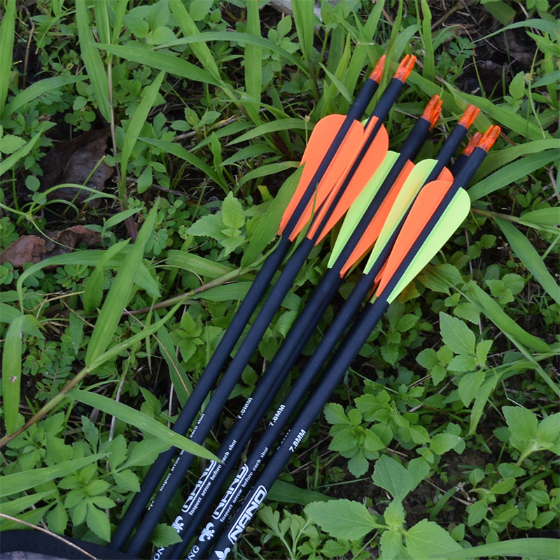 Mũi tên bắn cung để bắn mục tiêu/hunting