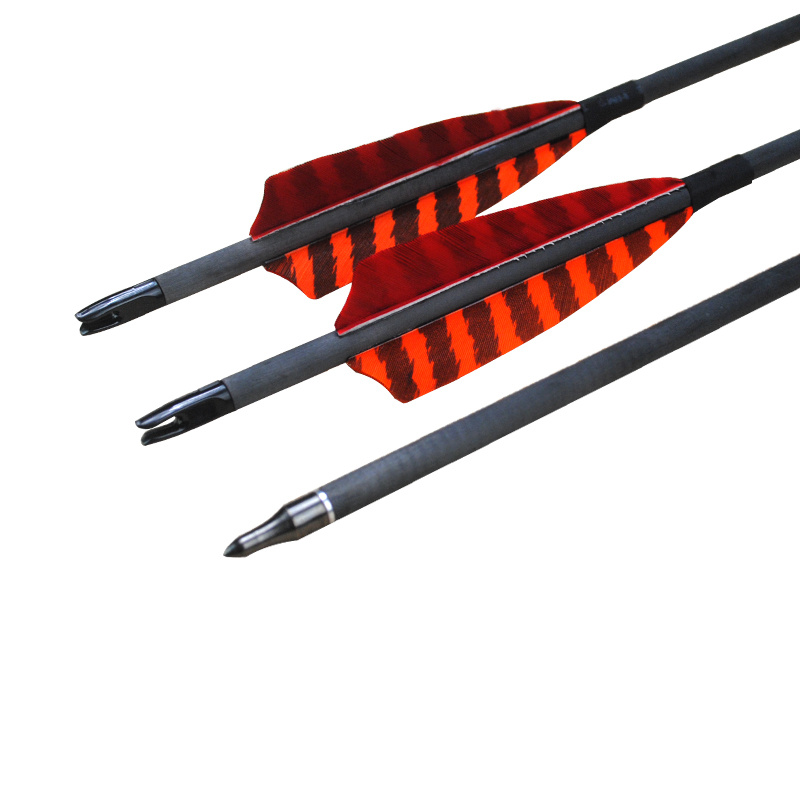 Mũi tên carbon cho bắn cung thủ