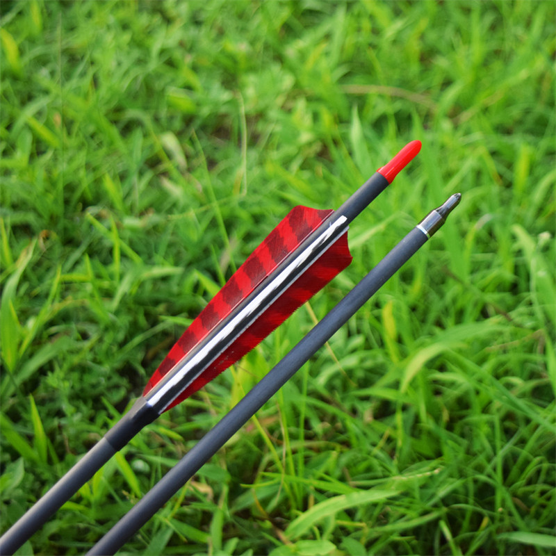 Mũi tên carbon thuần túy cho cung thủ